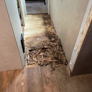 Water damage camper floor repairs on site!