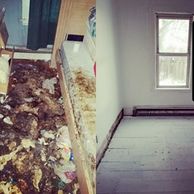 Extreme urine & feces contamination in a home that needed to have all floors removed. Biohazard PRO