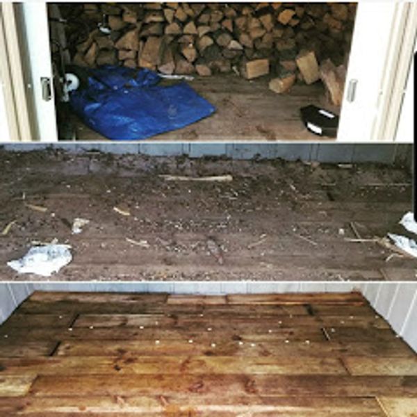 removal of rat poop and other rodent droppings from a shed and disinfecting