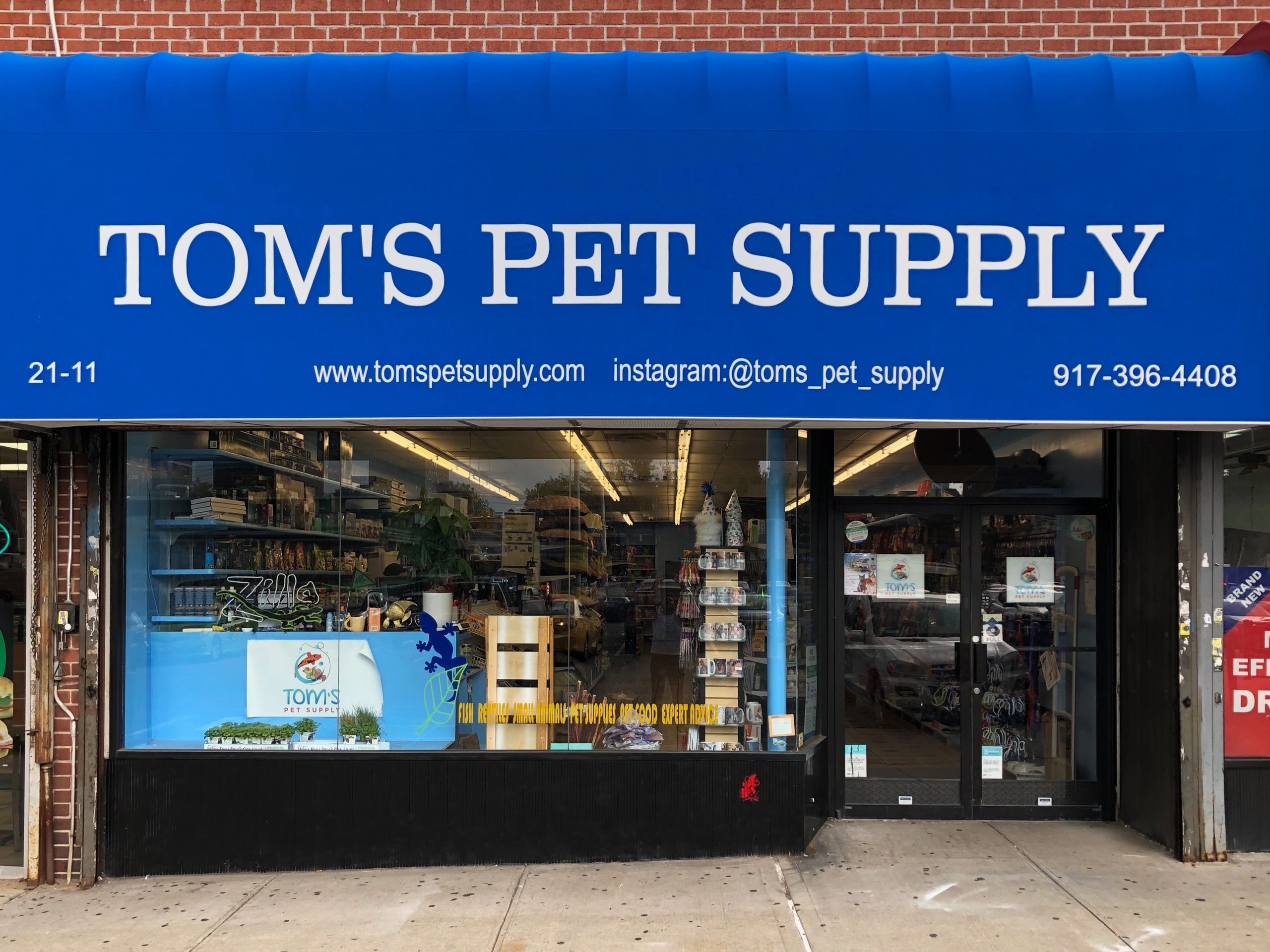 The best pet supply stores in NYC