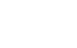 Soar Therapeutic Horseback Riding