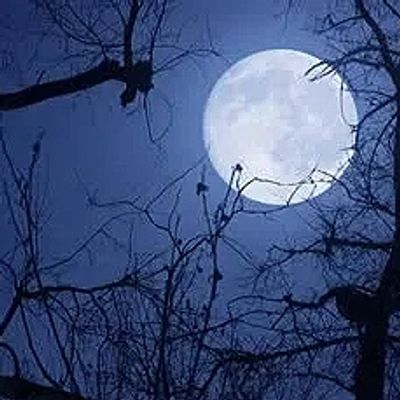 Full Moon through trees on a snowy night of spellcasting