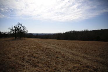 Oklahoma Hunting Preserve Property