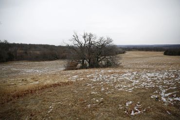 Oklahoma Deer Hunt Conditions