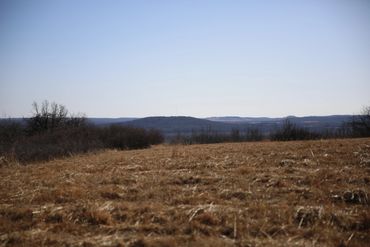 OK Deer and Hog Hunting