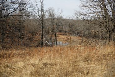 Oklahoma Whitetail Hunting Preserve