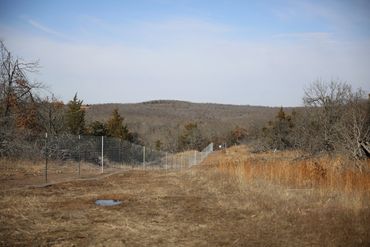 Whitetail Deer Breeding Oklahoma