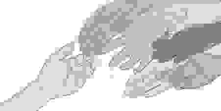 image568