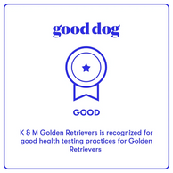 Good Dog GOOD badge for having good health testing practices for Golden Retrievers