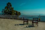 Terrace View