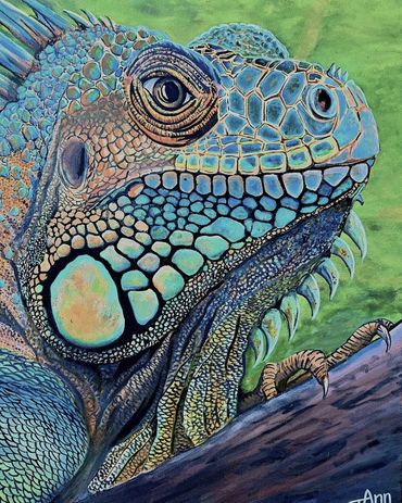 Up close view of an Green Iguana peering over a tree branch.