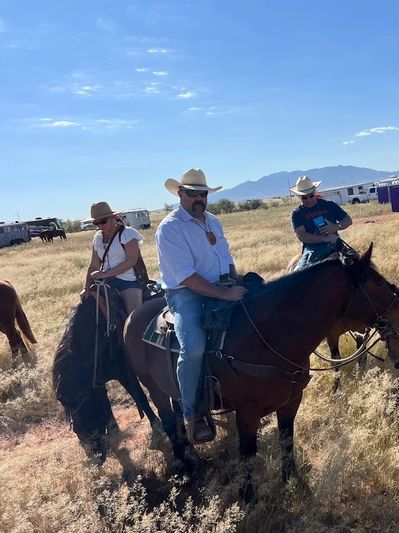 Three people wearing cowboy hats riding horses in a sunny field.