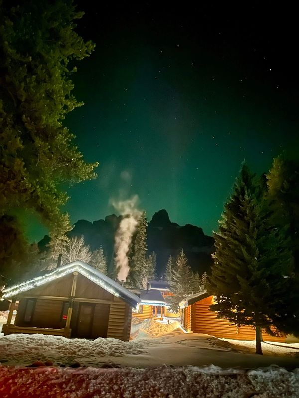Snowy log cabins under a starry night.