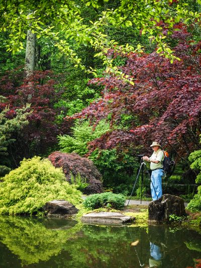 gibbs gardens, ball ground, georgia, spring, pond, photography workshop