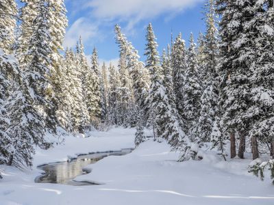 west yellowstone national park, winter wildlife photography workshop, gardiner, montana, wolf coyote