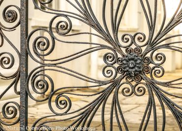 charleston, south carolina, battery, historic churches, mount pleasant, magnolia plantation, photo