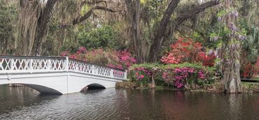 charleston, south carolina, battery, historic churches, mount pleasant, magnolia plantation, photo