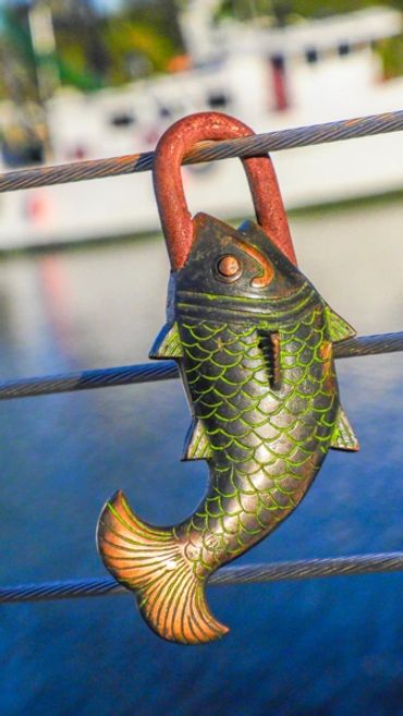 charleston, south carolina, battery, historic churches, mount pleasant, magnolia plantation, photo