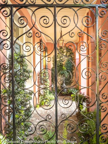 charleston, south carolina, battery, historic churches, mount pleasant, magnolia plantation, photo