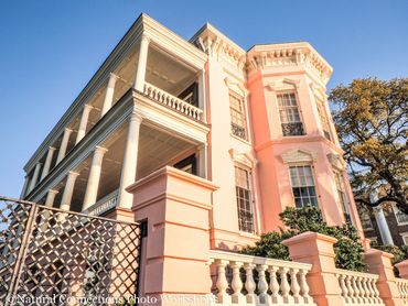 charleston, south carolina, battery, historic churches, mount pleasant, magnolia plantation, photo