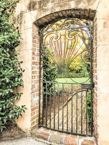 charleston, south carolina, battery, historic churches, mount pleasant, magnolia plantation, photo