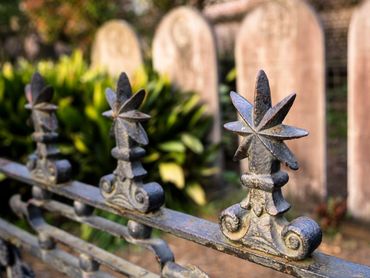 charleston, south carolina, battery, historic churches, mount pleasant, magnolia plantation, photo