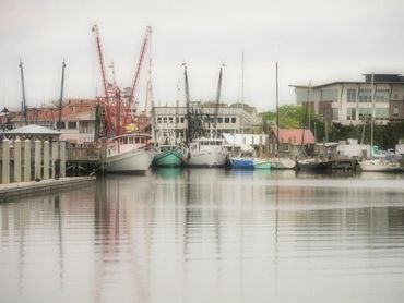 charleston, south carolina, battery, historic churches, mount pleasant, magnolia plantation, photo
