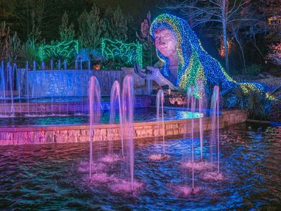 atlanta botanical gardens, christmas lights, holiday lights, photography workshop, photography class