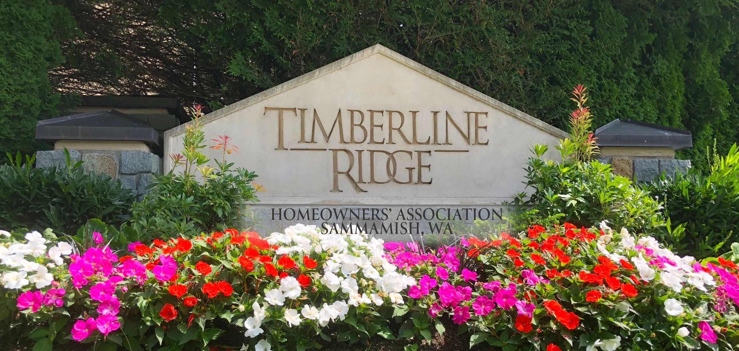 Contact Timberline Ridge HOA