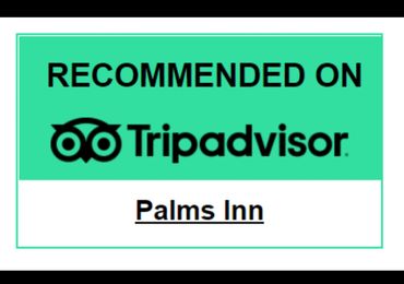 palms inn trip advisor