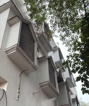 White building facade with mesh-covered windows and green tree branches above.