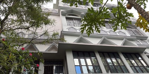 Looking up at a modern building facade with trees in the foreground.