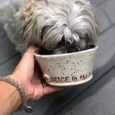 A dog eating from a ceramic bowl