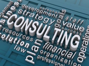 Business Consulting Infographic