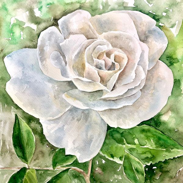 Kate Downey art watercolour watercolor greetings card florals commissions rose painting