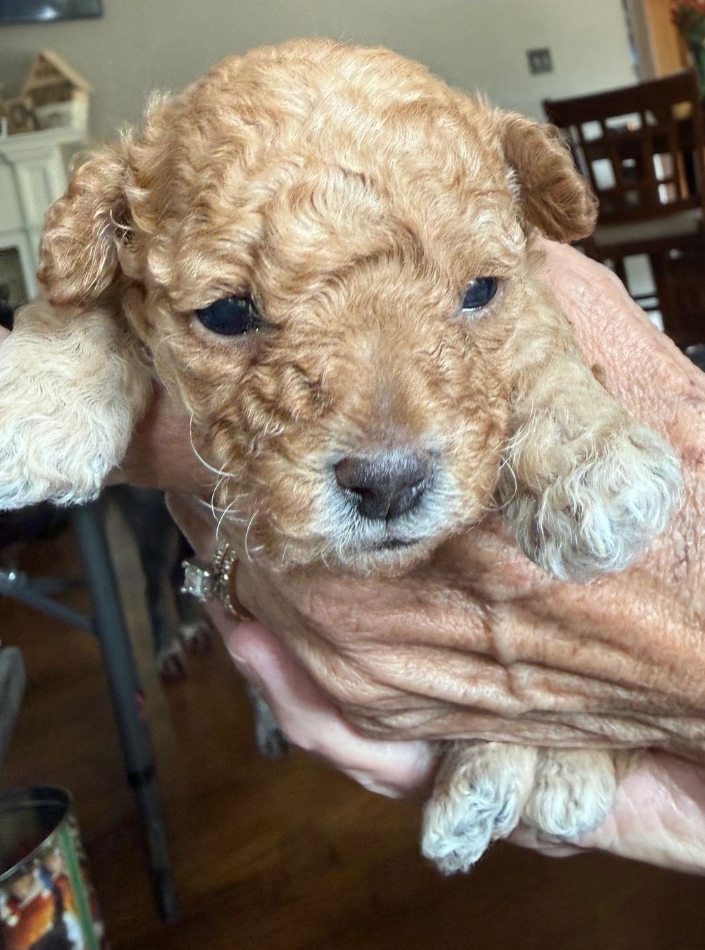 Peanut.