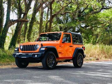 Orange Jeep parked on a road near a forest.