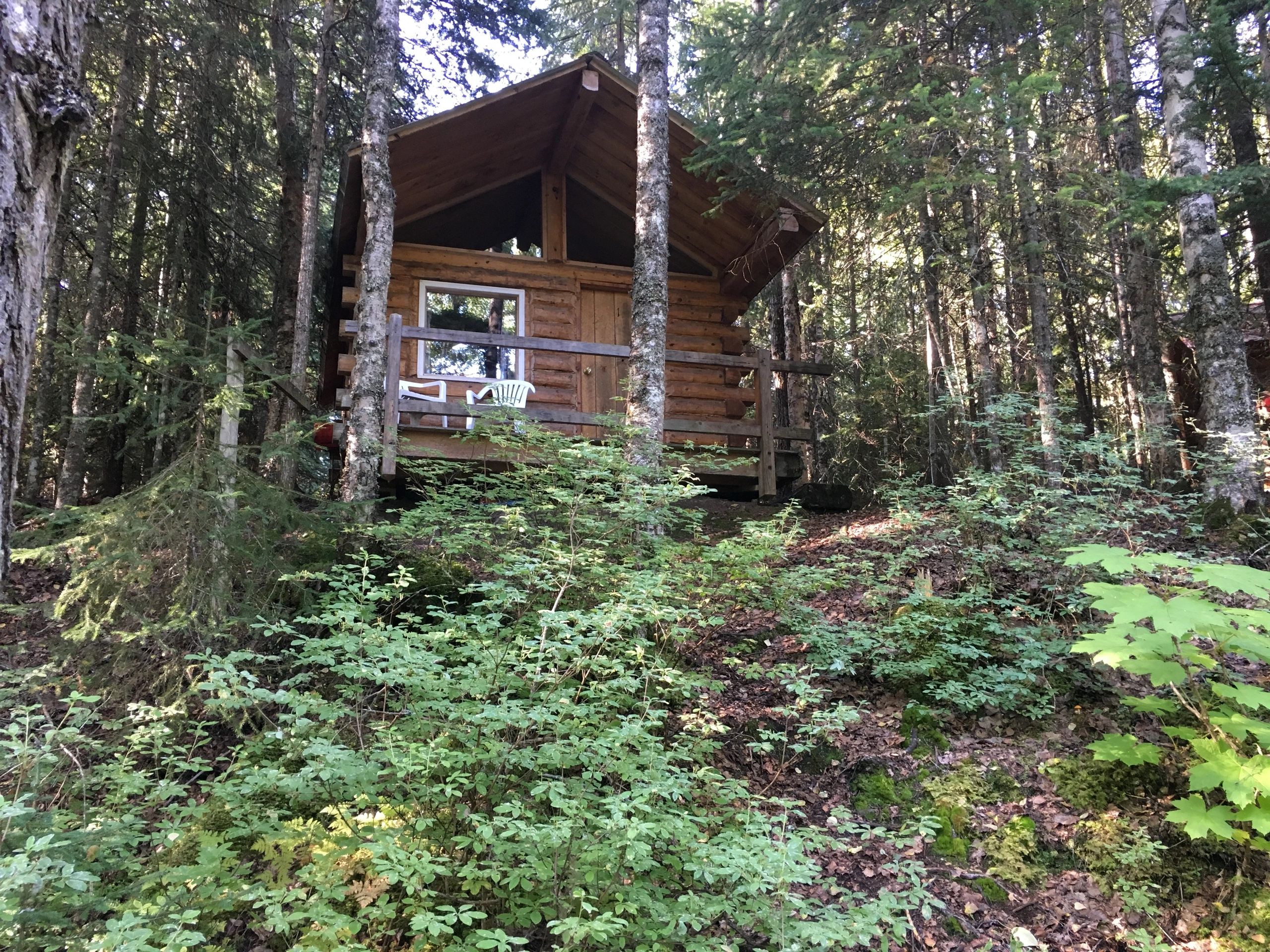 Lodging, Cabins Discovery Cabins Hope, Alaska