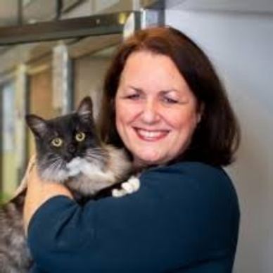 Maggie Roberts MRCVS smiling while holding a fluffy black and white cat.