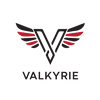 Valkyrie Investment Group Inc.