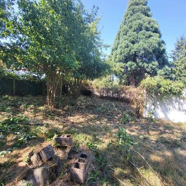 General Landscape Clean Up