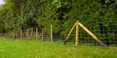 Field Based Stock Fencing Oakham