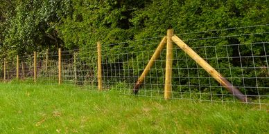 Field Based Stock Fencing Barnack