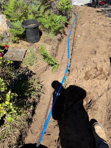 A trench with a blue pipe being installed beside green plants.