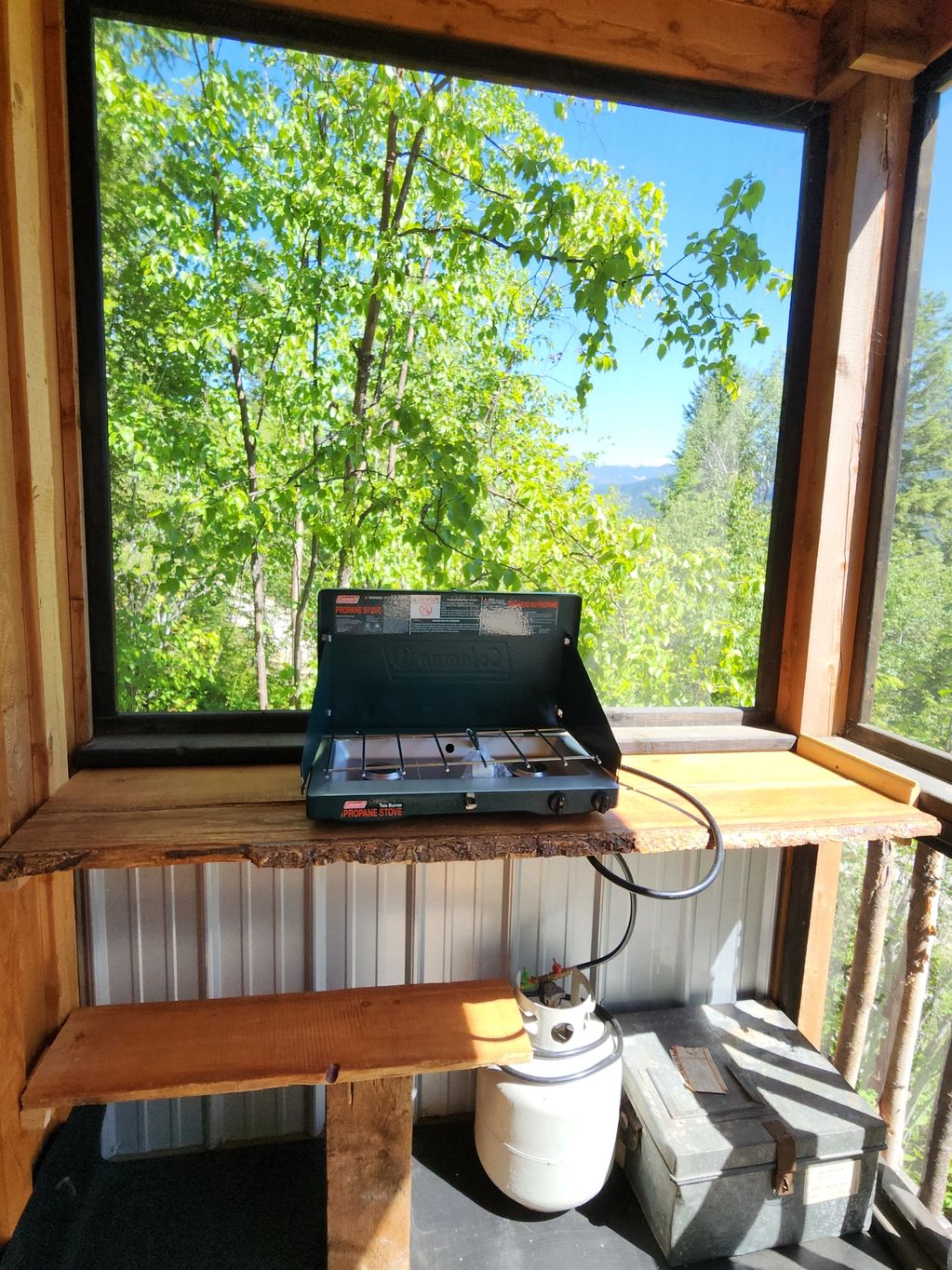 view