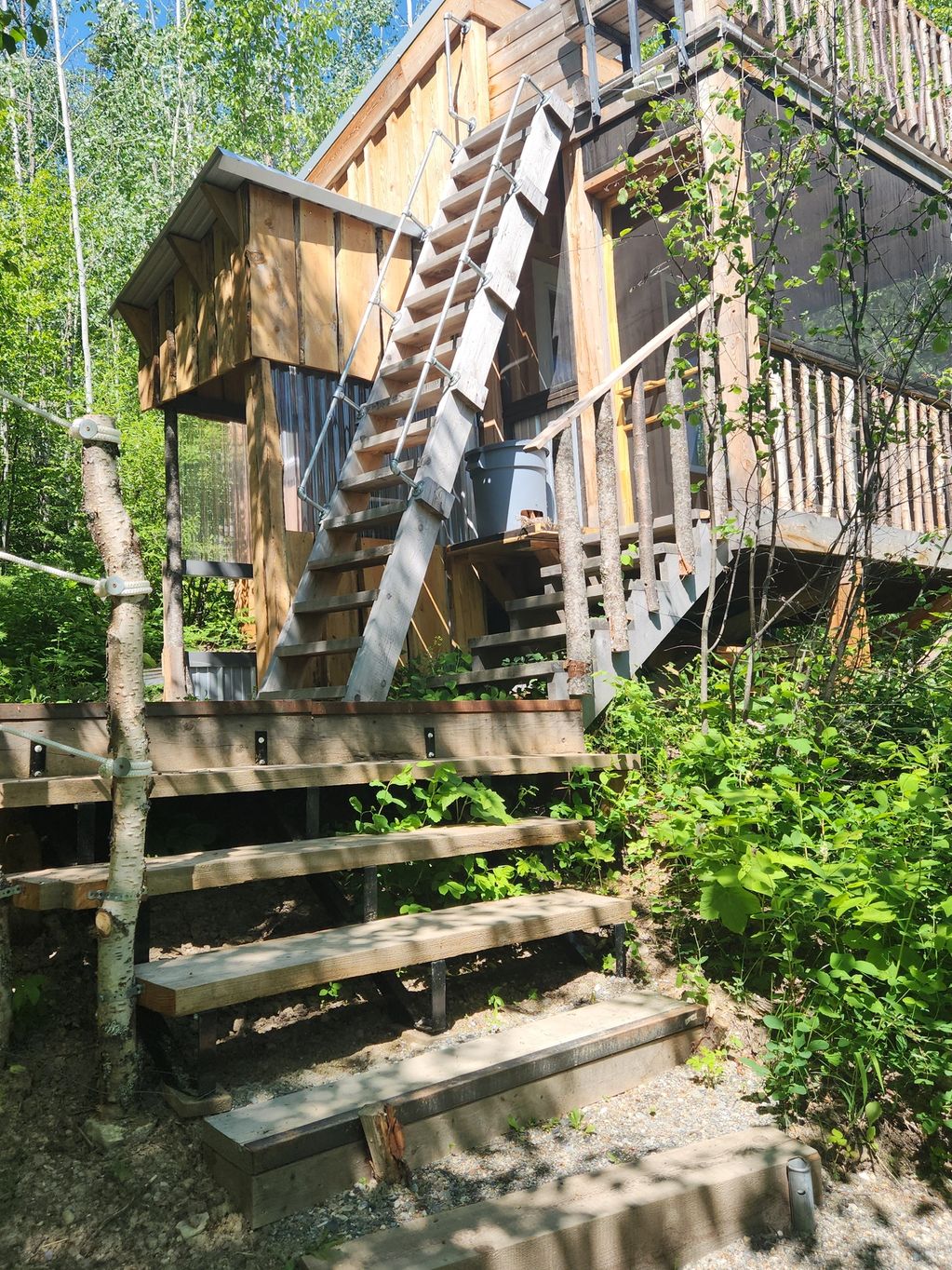 in the treetops!