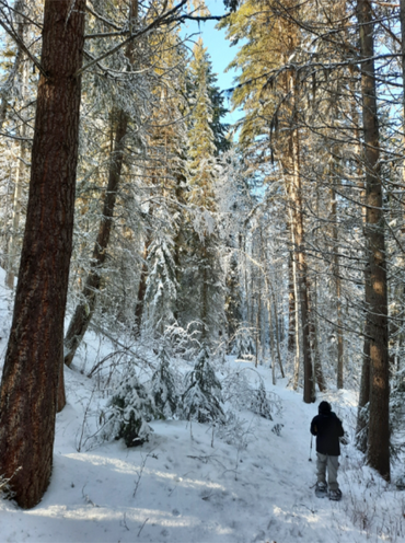 snowshoeing