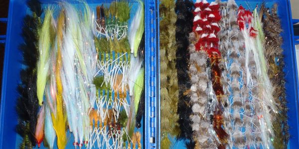 justin case
cliff outdoors
brook trout
parachute adams
parachute adams wulff