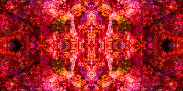 Vibrant symmetrical abstract pattern in red and pink hues.