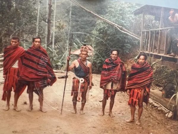 Mumbaki in Hungduan, a skilled traditional healer.